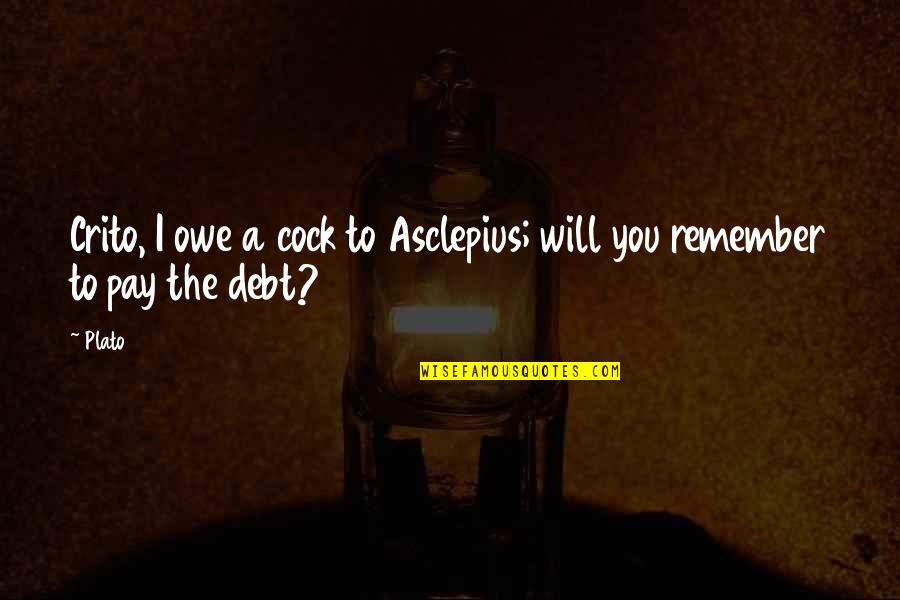 Saving Fossil Fuels Quotes By Plato: Crito, I owe a cock to Asclepius; will