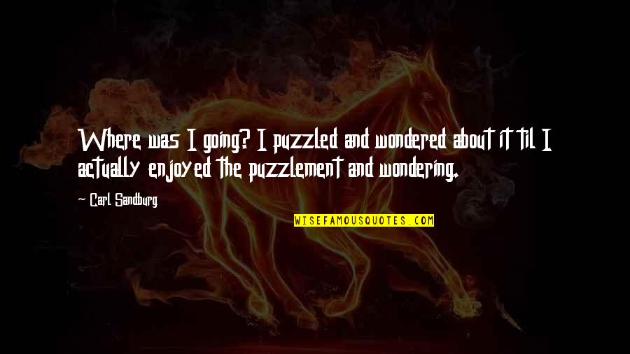 Saving Money Famous Quotes By Carl Sandburg: Where was I going? I puzzled and wondered