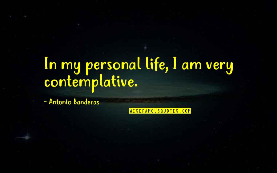 Savoye Apartments Quotes By Antonio Banderas: In my personal life, I am very contemplative.