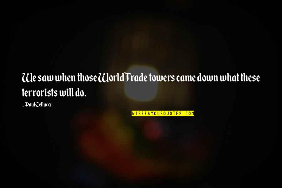 Saw What Quotes By Paul Cellucci: We saw when those World Trade towers came