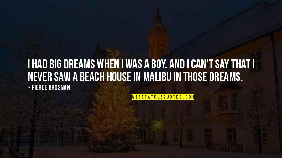 Saw You In My Dream Quotes By Pierce Brosnan: I had big dreams when I was a Saw You In My Dream Quotes By Pierce Brosnan: I had big dreams when I was a