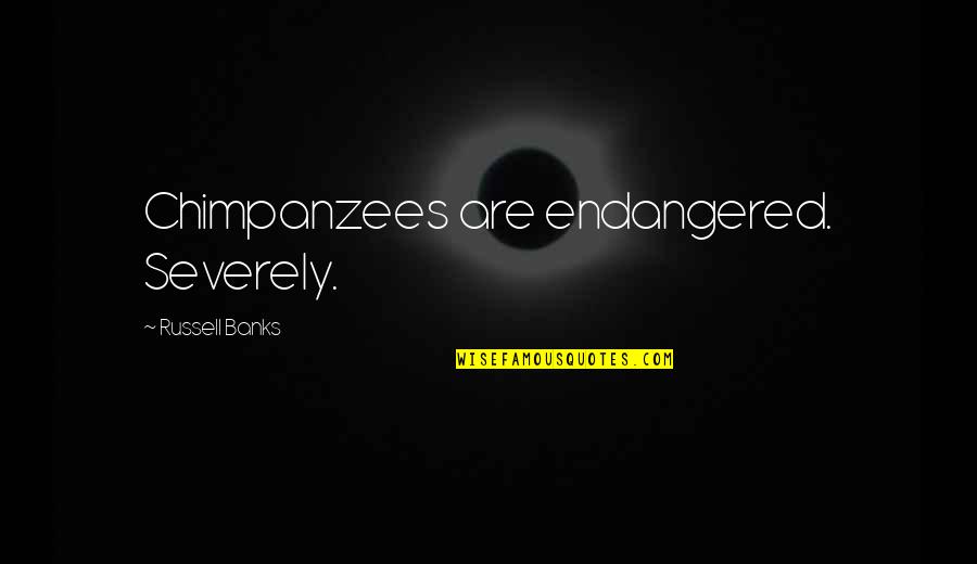 Sawatari Rui Quotes By Russell Banks: Chimpanzees are endangered. Severely. Sawatari Rui Quotes By Russell Banks: Chimpanzees are endangered. Severely.