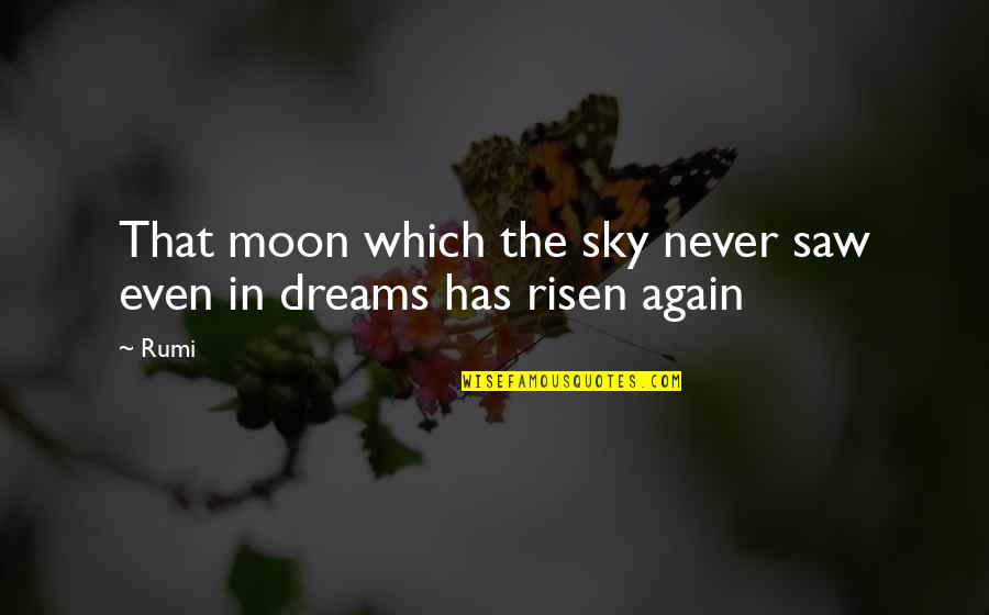 Saw'st Quotes By Rumi: That moon which the sky never saw even