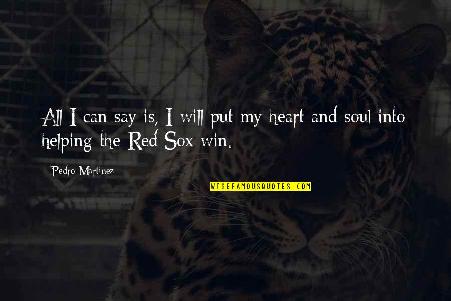 Say I Can't And I Will Quotes By Pedro Martinez: All I can say is, I will put