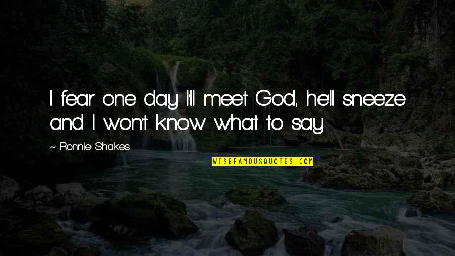 Say I Won't Quotes By Ronnie Shakes: I fear one day I'll meet God, he'll