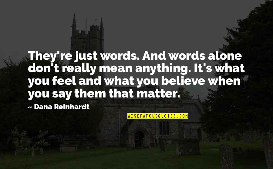 Say Mean Matter For Quotes By Dana Reinhardt: They're just words. And words alone don't really