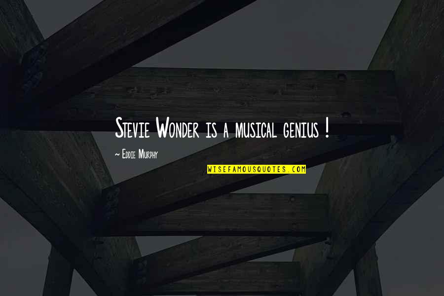 Say More Boutique Quotes By Eddie Murphy: Stevie Wonder is a musical genius !