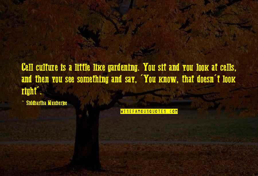 Say Something Quotes By Siddhartha Mukherjee: Cell culture is a little like gardening. You