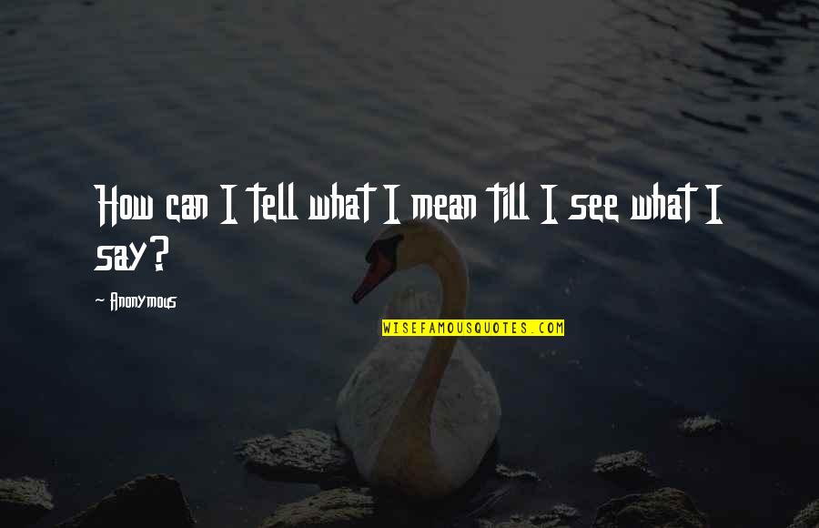 Say What I Mean Quotes By Anonymous: How can I tell what I mean till