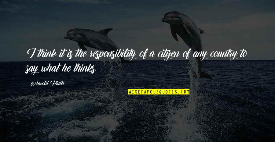 Say What I Think Quotes By Harold Pinter: I think it is the responsibility of a