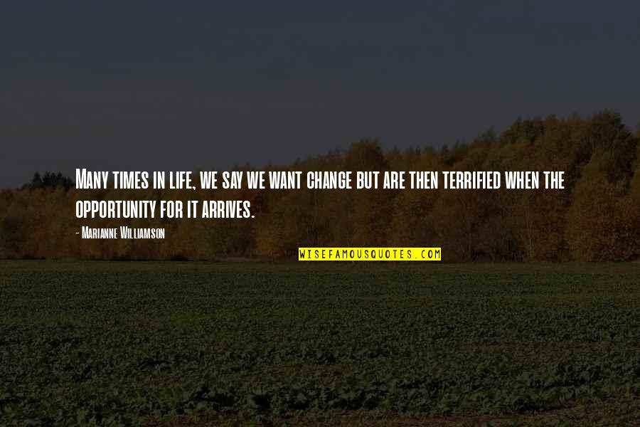 Say Yes To Opportunity Quotes By Marianne Williamson: Many times in life, we say we want Say Yes To Opportunity Quotes By Marianne Williamson: Many times in life, we say we want