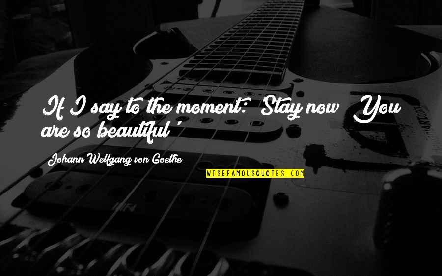 Say You Are Beautiful Quotes By Johann Wolfgang Von Goethe: If I say to the moment: 'Stay now!