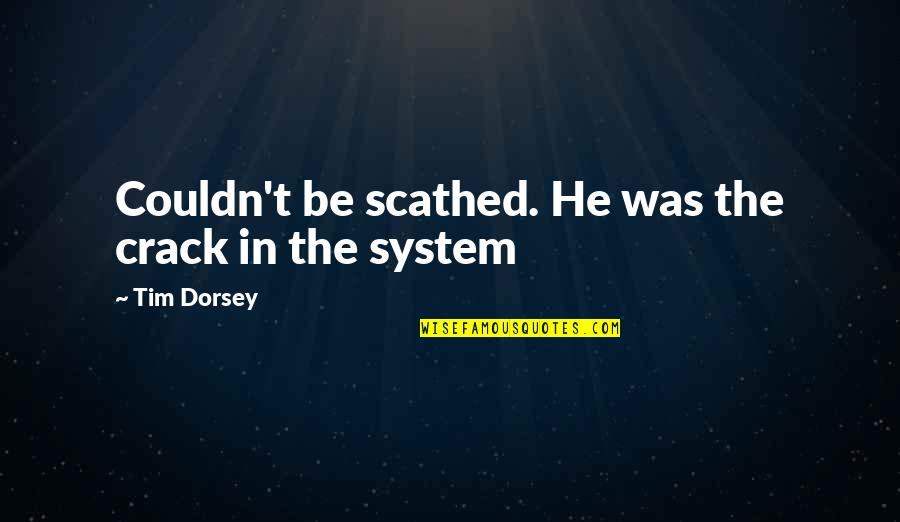 Say Youll Be There Video Quotes By Tim Dorsey: Couldn't be scathed. He was the crack in