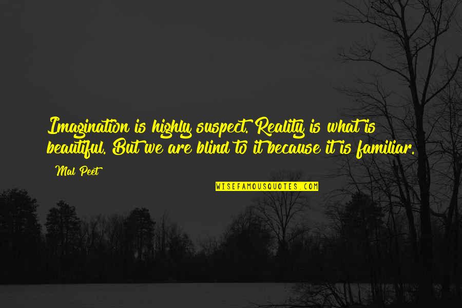 Sayantani Nath Quotes By Mal Peet: Imagination is highly suspect. Reality is what is Sayantani Nath Quotes By Mal Peet: Imagination is highly suspect. Reality is what is