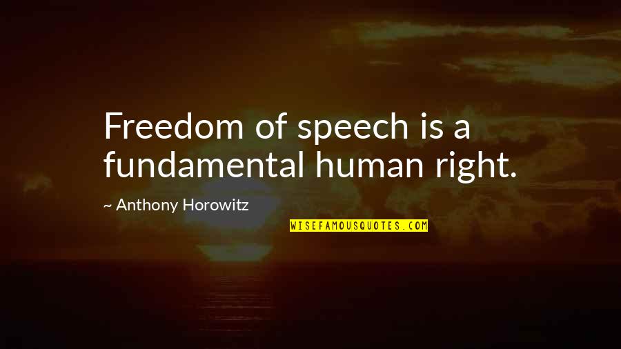 Saydee Knit Quotes By Anthony Horowitz: Freedom of speech is a fundamental human right. Saydee Knit Quotes By Anthony Horowitz: Freedom of speech is a fundamental human right.