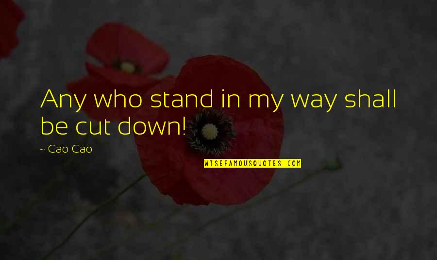Sayhi Chat Quotes By Cao Cao: Any who stand in my way shall be