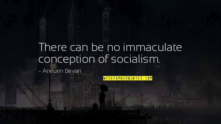 Saying Everything Has A Place Quotes By Aneurin Bevan: There can be no immaculate conception of socialism.