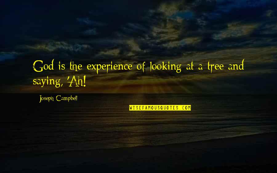 Saying God Quotes By Joseph Campbell: God is the experience of looking at a