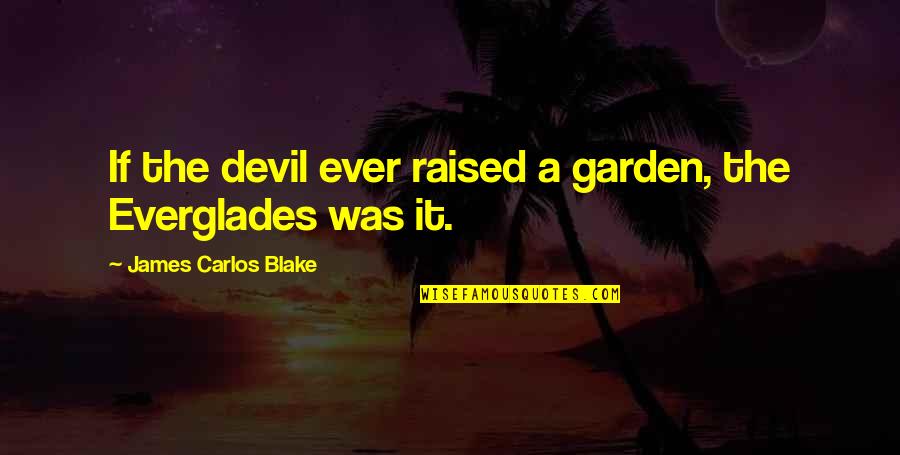 Saying Goodbye To Your Best Friend Quotes By James Carlos Blake: If the devil ever raised a garden, the