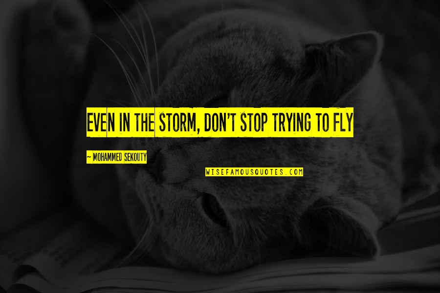 Saying How I Feel Quotes By Mohammed Sekouty: Even in the storm, don't stop trying to