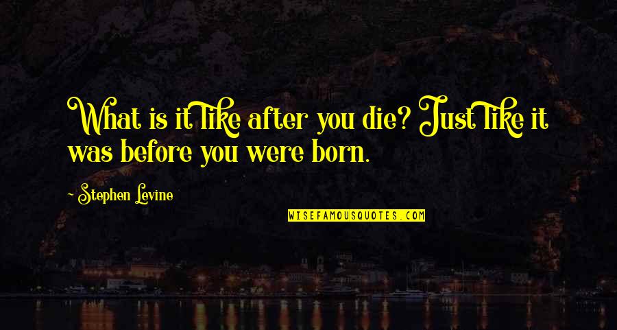 Saying Images Picture Quotes By Stephen Levine: What is it like after you die? Just