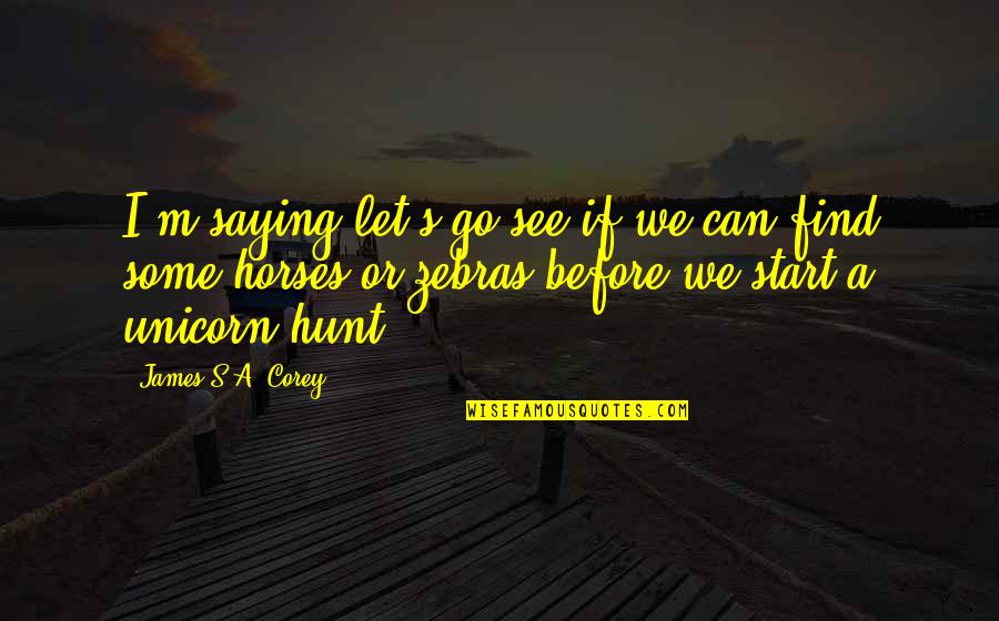 Saying See You Soon Quotes By James S.A. Corey: I'm saying let's go see if we can