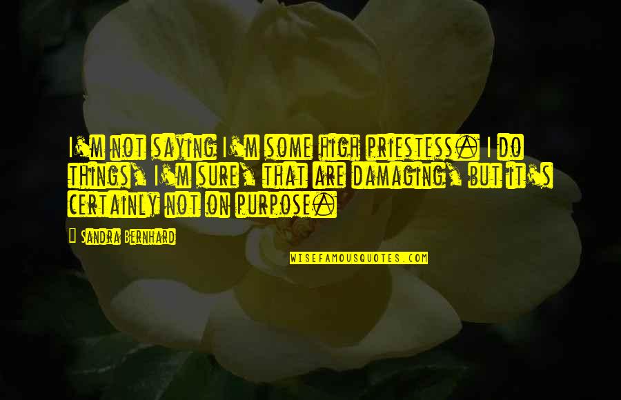 Saying Things Quotes By Sandra Bernhard: I'm not saying I'm some high priestess. I