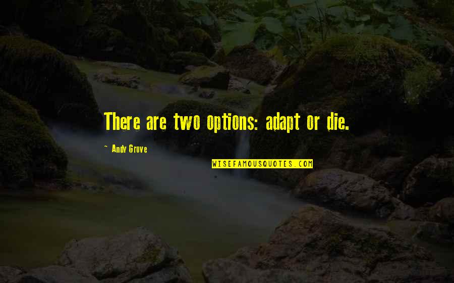 Saying Things When Your Mad Quotes By Andy Grove: There are two options: adapt or die.
