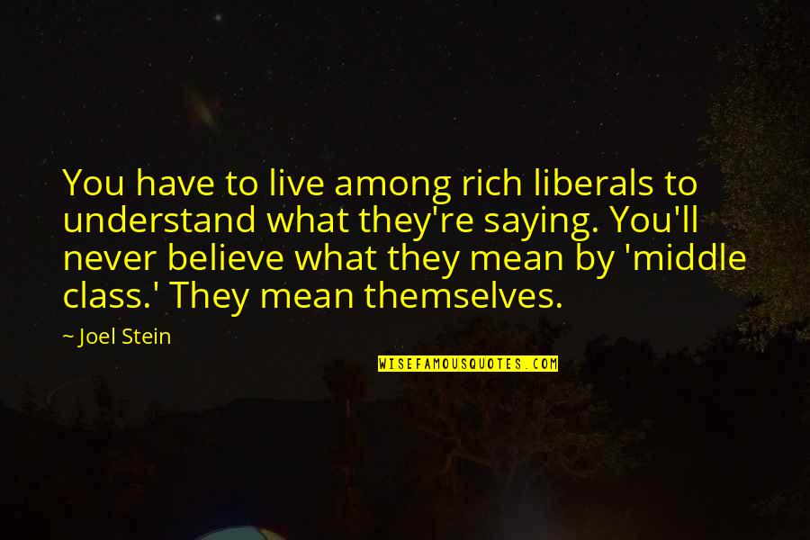 Saying What You Mean Quotes By Joel Stein: You have to live among rich liberals to