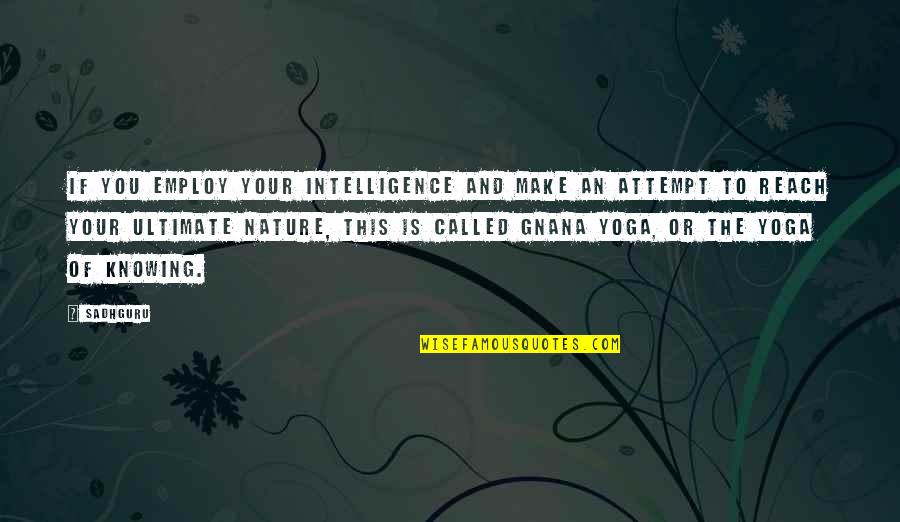 Sayler Twins Quotes By Sadhguru: If you employ your intelligence and make an Sayler Twins Quotes By Sadhguru: If you employ your intelligence and make an