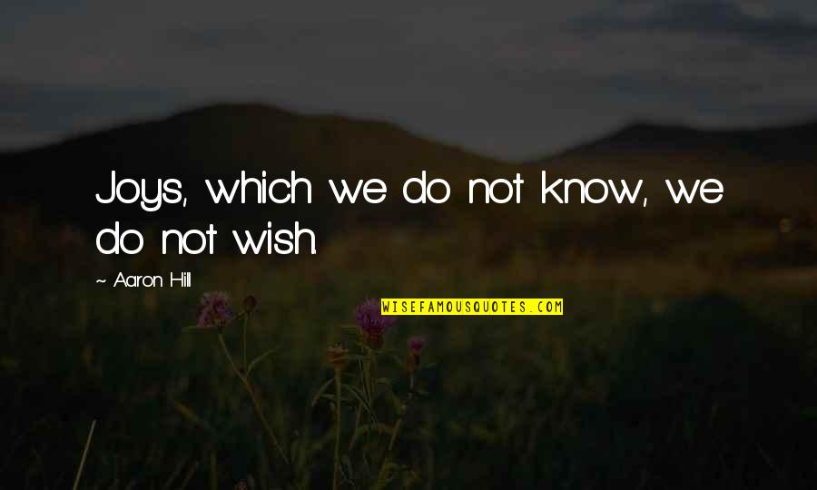 Sayyah In Indiana Quotes By Aaron Hill: Joys, which we do not know, we do