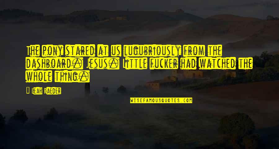 Sballottata Quotes By Leah Raeder: The pony stared at us lugubriously from the