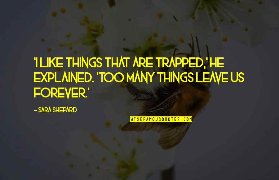 Sbiascico Quotes By Sara Shepard: 'I Like things that are trapped,' he explained.