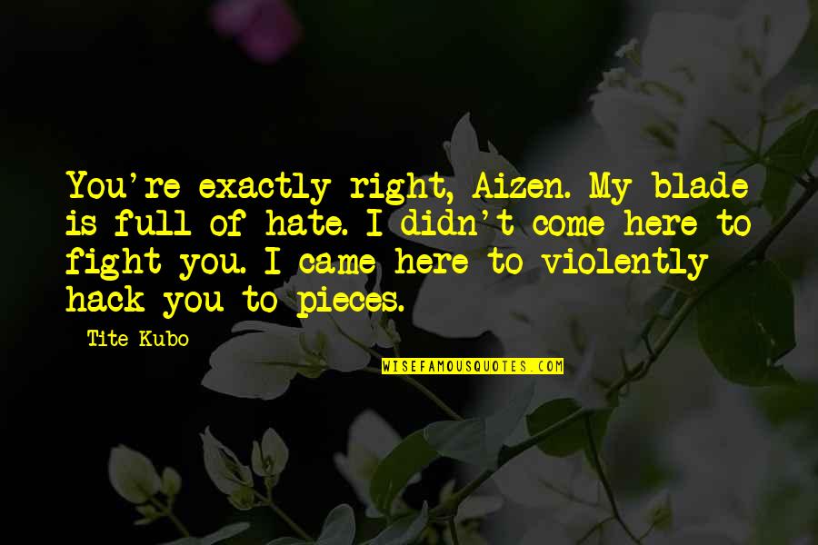 Sbishouken Quotes By Tite Kubo: You're exactly right, Aizen. My blade is full