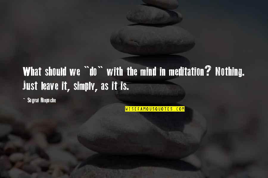 Sbitany Quotes By Sogyal Rinpoche: What should we "do" with the mind in
