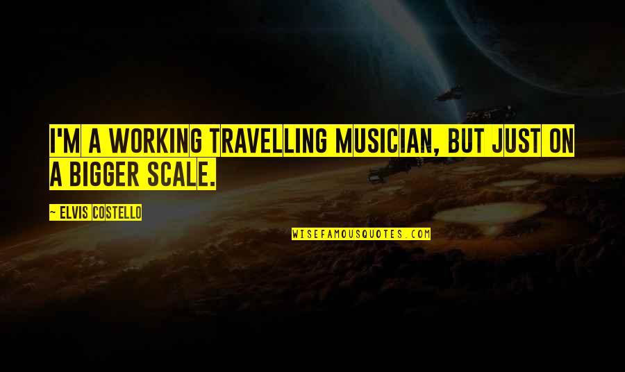 Scale Up Quotes By Elvis Costello: I'm a working travelling musician, but just on