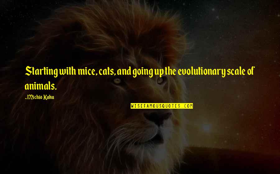 Scale Up Quotes By Michio Kaku: Starting with mice, cats, and going up the