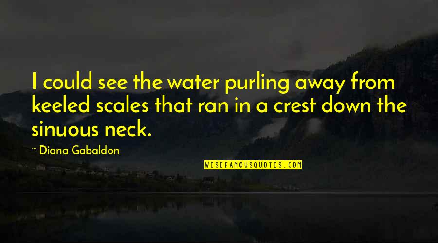 Scales Quotes By Diana Gabaldon: I could see the water purling away from Scales Quotes By Diana Gabaldon: I could see the water purling away from