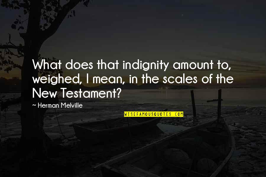 Scales Quotes By Herman Melville: What does that indignity amount to, weighed, I