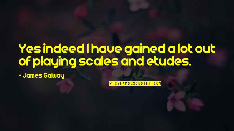 Scales Quotes By James Galway: Yes indeed I have gained a lot out