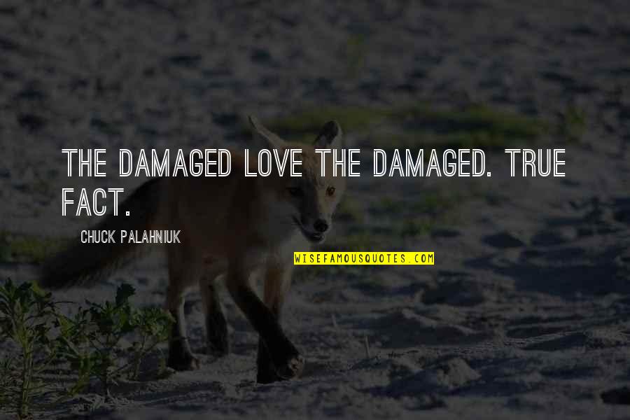 Scampered Means Quotes By Chuck Palahniuk: The damaged love the damaged. True fact. Scampered Means Quotes By Chuck Palahniuk: The damaged love the damaged. True fact.