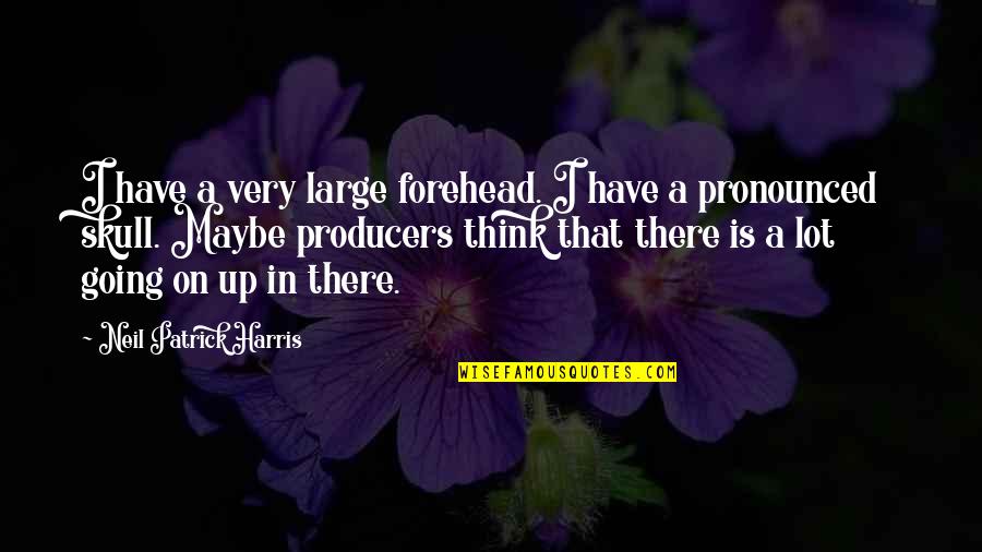 Scampo Boston Quotes By Neil Patrick Harris: I have a very large forehead. I have Scampo Boston Quotes By Neil Patrick Harris: I have a very large forehead. I have