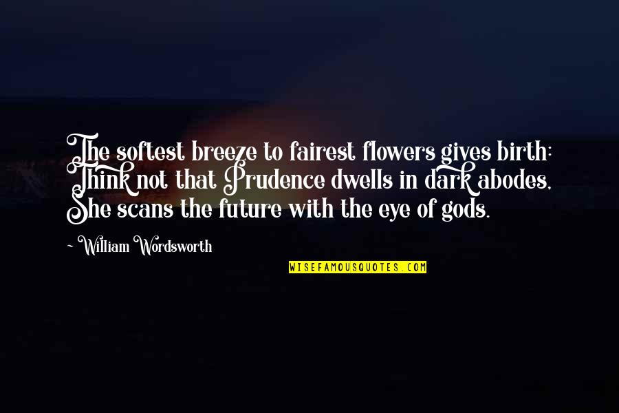 Scans Quotes By William Wordsworth: The softest breeze to fairest flowers gives birth: