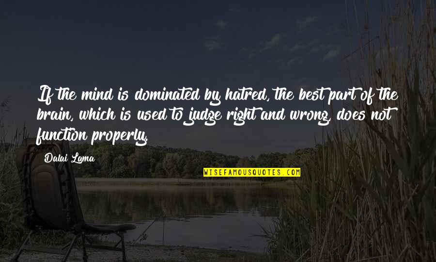 Scapegoater Quotes By Dalai Lama: If the mind is dominated by hatred, the