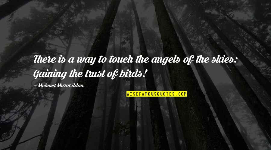 Scaperotta Deli Quotes By Mehmet Murat Ildan: There is a way to touch the angels