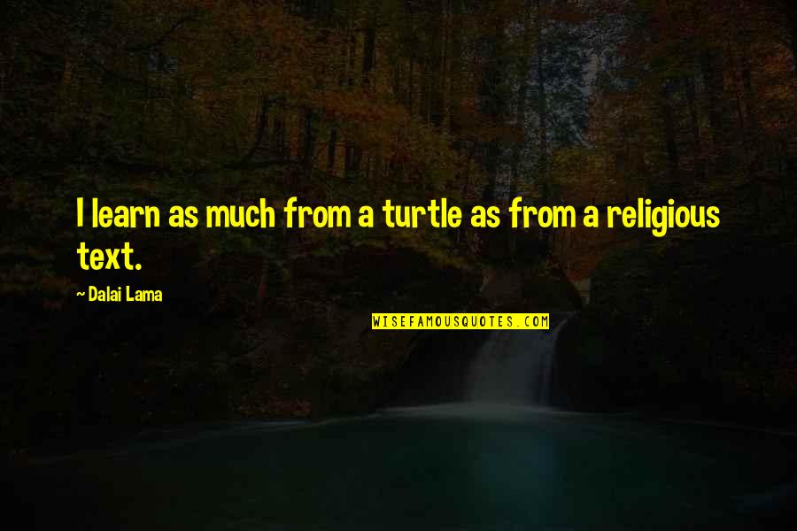 Scarcity Of Money Quotes By Dalai Lama: I learn as much from a turtle as