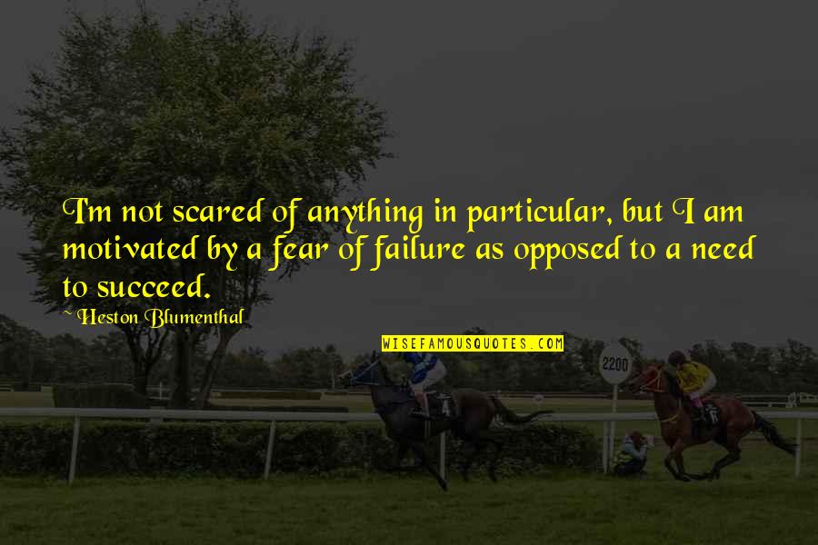 Scared Of Failure Quotes By Heston Blumenthal: I'm not scared of anything in particular, but