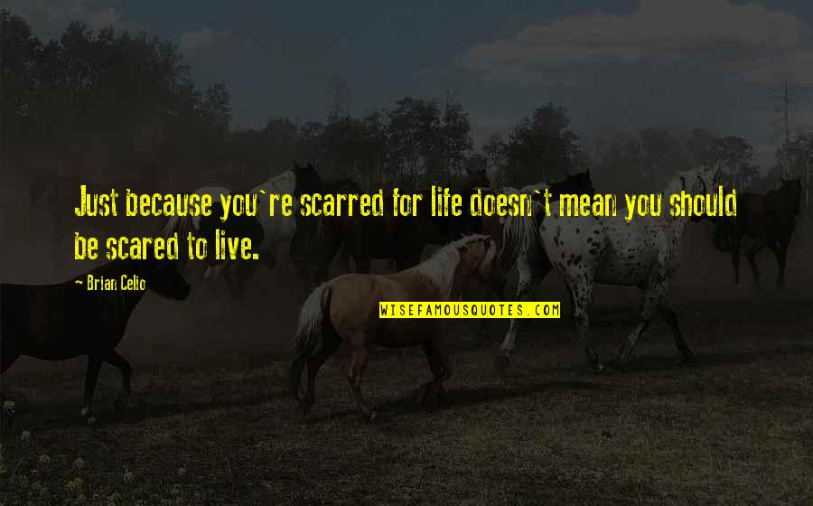 Scared To Live Quotes By Brian Celio: Just because you're scarred for life doesn't mean