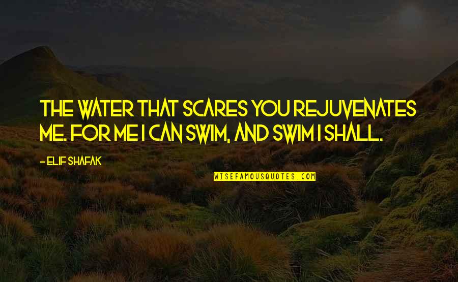 Scares Quotes By Elif Shafak: The water that scares you rejuvenates me. For