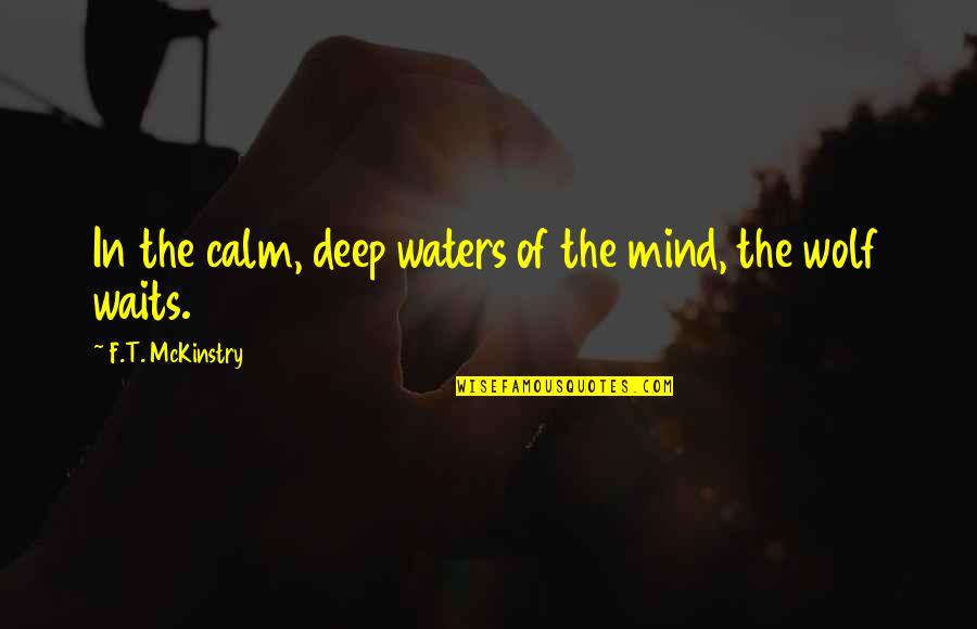 Scarface Yayo Quotes By F.T. McKinstry: In the calm, deep waters of the mind, Scarface Yayo Quotes By F.T. McKinstry: In the calm, deep waters of the mind,
